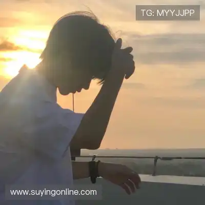 惠月泽